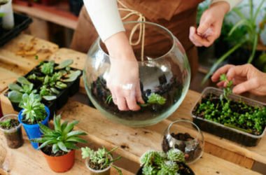 Come fare un terrarium perfetto: la guida pratica