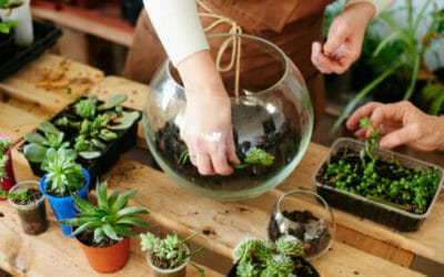 Come fare un terrarium perfetto: la guida pratica