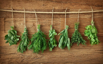 Erbe aromatiche: coltivare e raccogliere le piante aromatiche