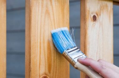 Lino: proprietà e utilizzi di questa pianta