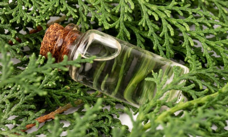 olio essenziale di cipresso