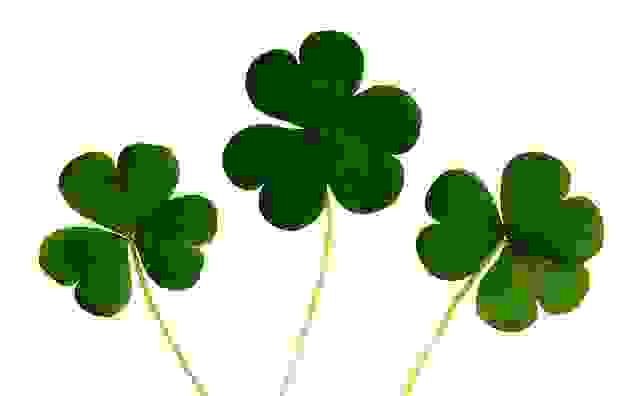 Trifoglio Proprietà E Usi Dellerba Amica Delle Donne