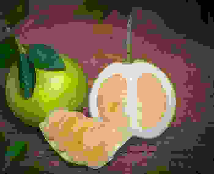 pomelo