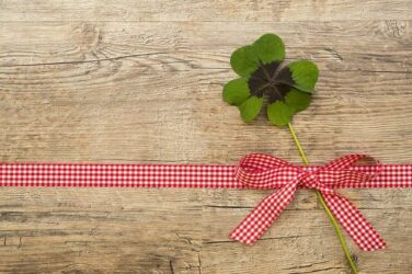 Trifoglio: proprietà e usi dell’erba amica delle donne