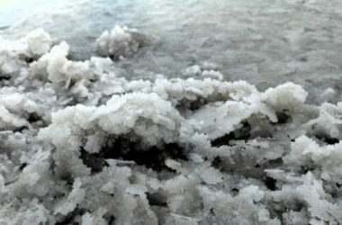 Tutto sull’olio essenziale di cipresso, un espettorante, vasocostrittore e cardiotonico naturale