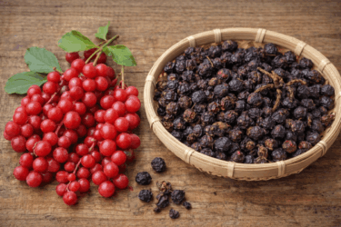 Schisandra, la pianta anti-stress che viene dall’Oriente
