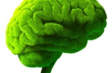 Scopriamo cosa sia l’ecopsicologia e in che ambito si applichi