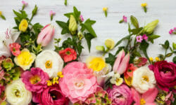 Mini-guida al linguaggio dei fiori: ad ogni fiore il suo significato
