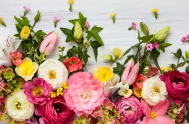 Mini-guida al linguaggio dei fiori: ad ogni fiore il suo significato