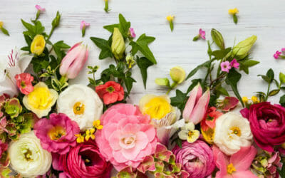 Mini-guida al linguaggio dei fiori: ad ogni fiore il suo significato