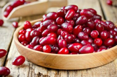Corniolo: tutto sulle sue bacche rosse diuretiche e tonificanti, perfette contro la dissenteria