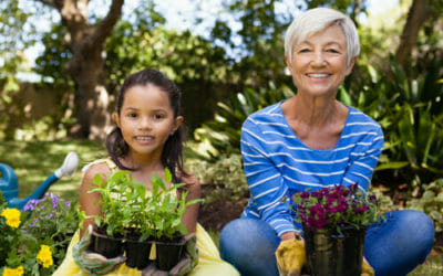 Antiparassitari naturali per piante: consigli e suggerimenti