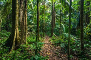 Il luogo con maggiore biodiversità al mondo