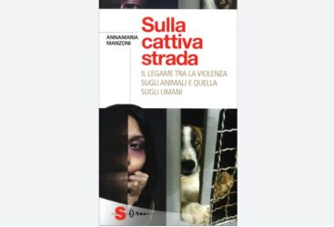 Sulla cattiva strada, libro di Annamaria Manzoni