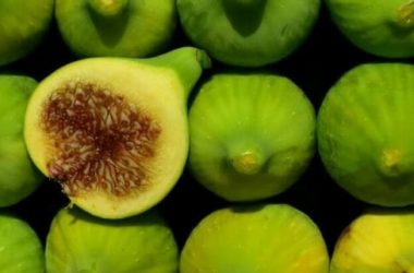 Il fico (ficus carica): la guida per conoscere e crescere questo albero da frutto