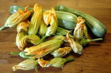 Fiori di zucca: come utilizzare questi ingredienti di piatti estivi