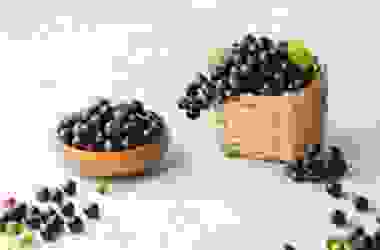 Alla scoperta del ribes nero, una bacca dai molteplici impieghi alimentari, terapeutici e cosmetici