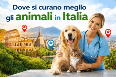 Dove si curano meglio gli animali in Italia: guida alle città con i migliori veterinari