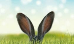 Cause, sintomi e rimedi naturali per il mal d’orecchio