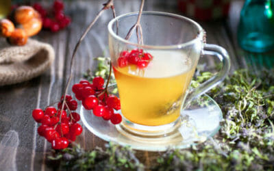Le migliori tisane rilassanti per conciliare il sonno naturalmente