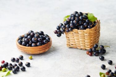 Alla scoperta del ribes nero, una bacca dai molteplici impieghi alimentari, terapeutici e cosmetici