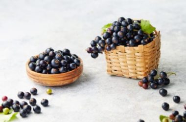 Alla scoperta del ribes nero, una bacca dai molteplici impieghi alimentari, terapeutici e cosmetici