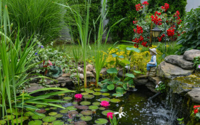 Piante acquatiche da giardino: quali sono e che cure richiedono ... Fiori acquatici nomi