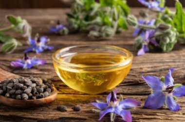 Borragine: quello che c’è da sapere su questa pianta perenne dalle tante virtù