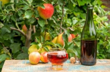 La recette du cidre de pomme maison: une boisson à redécouvrir