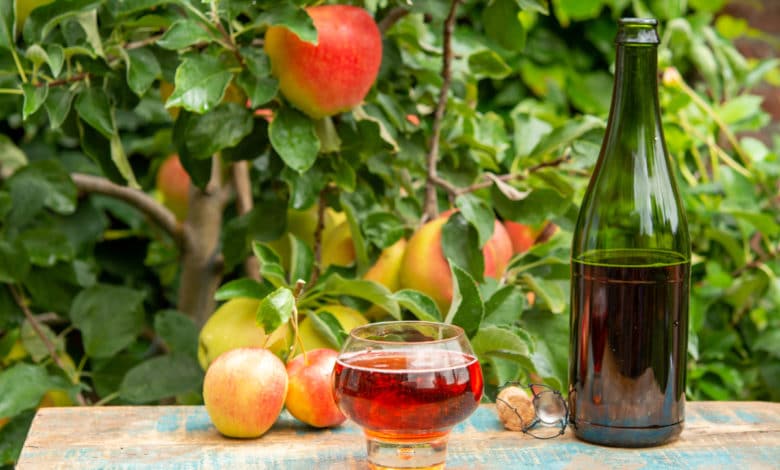 sidro di mele fatto in casa
