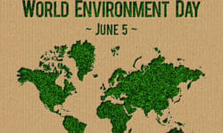 La giornata mondiale dell’ambiente è il 5 giugno di ogni anno: riflettori puntati su biodiversità e sostenibilità