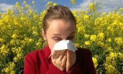 A che cosa serve l’antistaminico e cosa devi sapere sui farmaci antistaminici