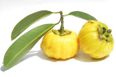 Tutto sulla Garcinia cambogia, le caratteristiche, proprietà e controindicazioni di questa pianta di cui si parla molto per le proprietà dimagranti