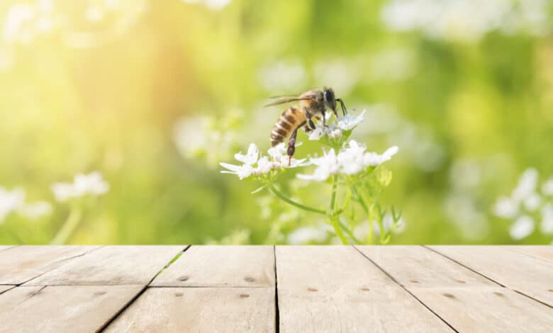 Come allontanare le api naturalmente