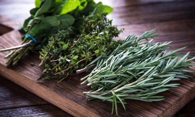 come conservare le erbe aromatiche