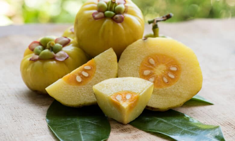 garcinia cambogia