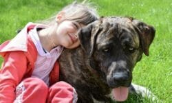 Le migliori razze di cani per bambini: sai quali sono?