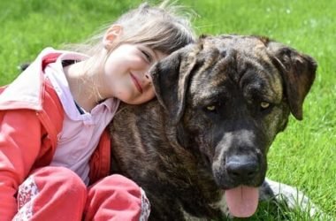 Le migliori razze di cani per bambini: sai quali sono?