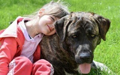 Le migliori razze di cani per bambini: sai quali sono?