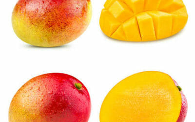 Tutte le proprietà del mango con anche tante ricette e le istruzioni per tagliarlo facilmente