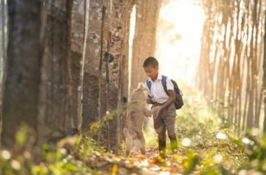 Le migliori razze di cani per bambini: sai quali sono?