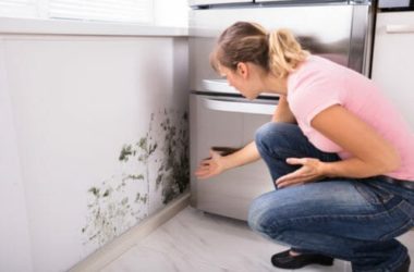 Tutte le soluzioni per combattere l’umidità, dalla misurazione ai rimedi naturali
