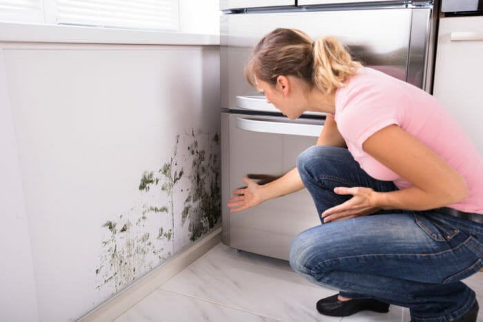 Umidità in casa: come misurarla, prevenirla ed eliminarla tuttogreen Come abbassare l umidità in una stanza