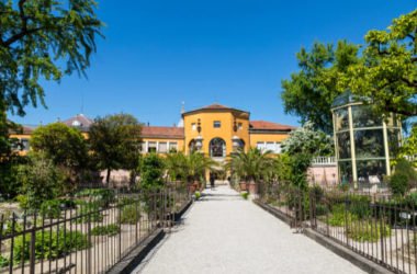 Orto Botanico di Padova: un luogo ricco di ispirazioni