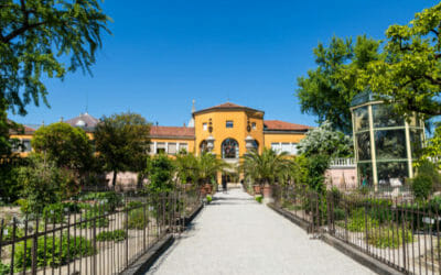 Orto Botanico di Padova: un luogo ricco di ispirazioni