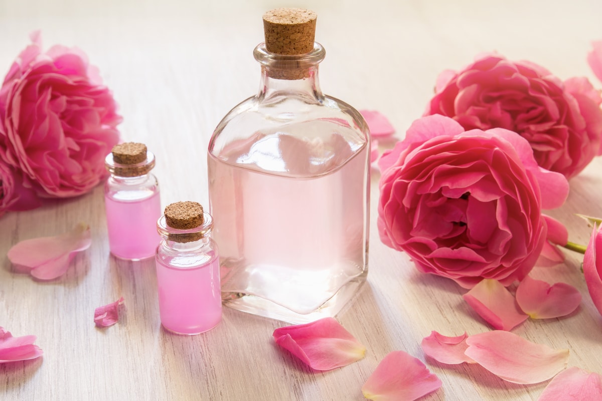 Acqua di rose fai da te due ricette casalinghe da provare
