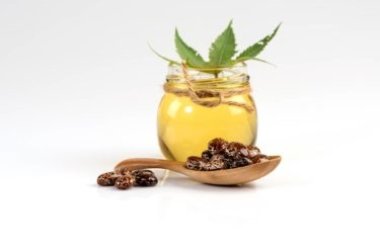 Guida all’olio di ricino, scopriamone insieme i benefici per capelli e cosmesi ma anche le controindicazioni