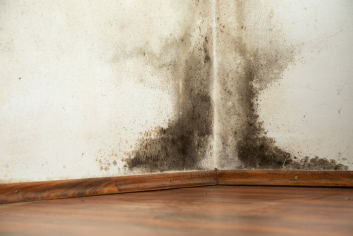 Umidità in casa: come misurarla, prevenirla ed eliminarla tuttogreen Come abbassare l umidità in una stanza