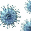 Citomegalovirus: pericoloso soprattutto per le donne in gravidanza, scopriamo i suoi sintomi e che terapie fare in caso di infezione