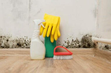 Tutte le soluzioni per combattere l’umidità in casa, dalla misurazione ai rimedi naturali